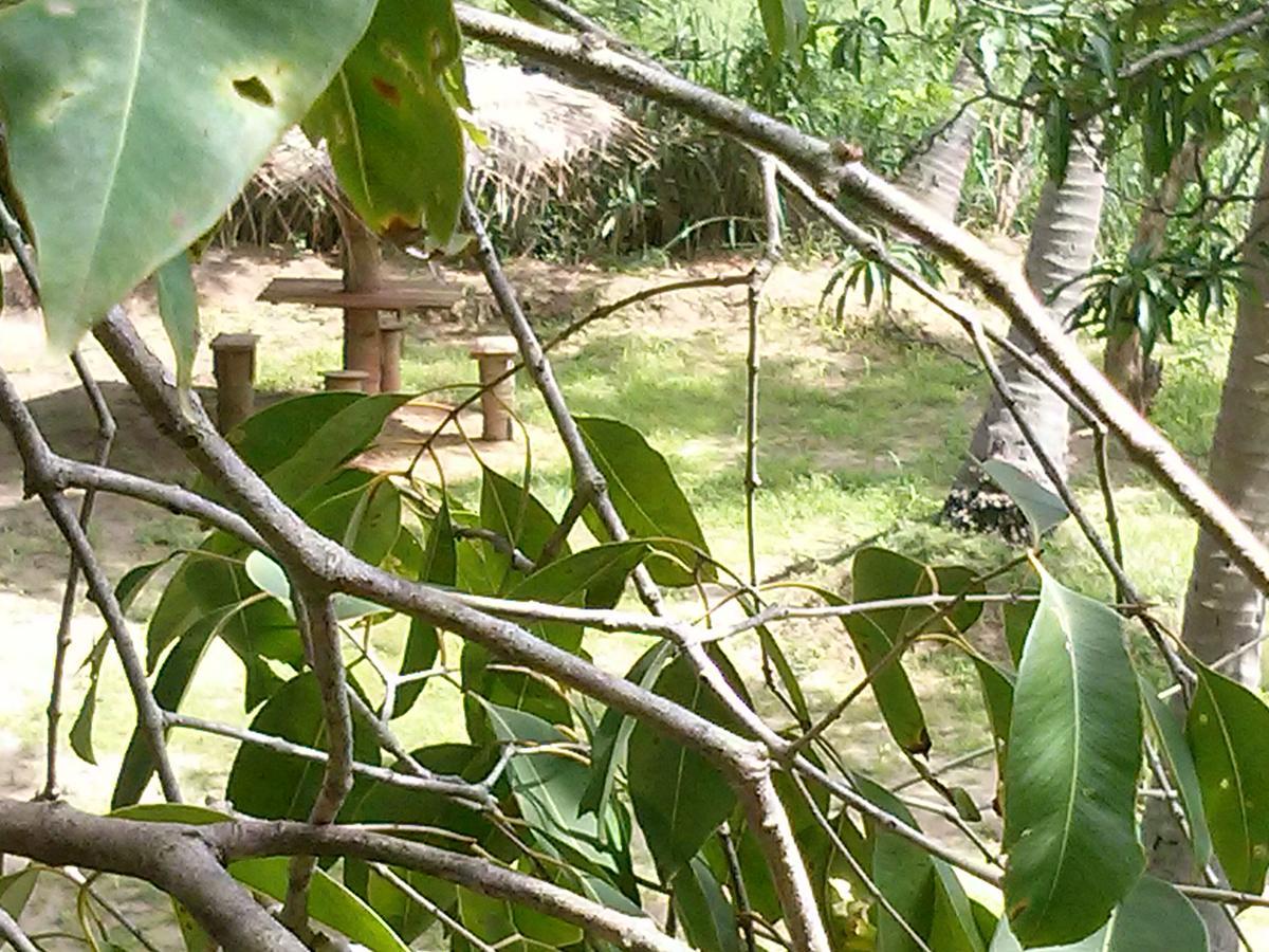 Green Earth Resort And Restaurant Dambulla Exteriör bild