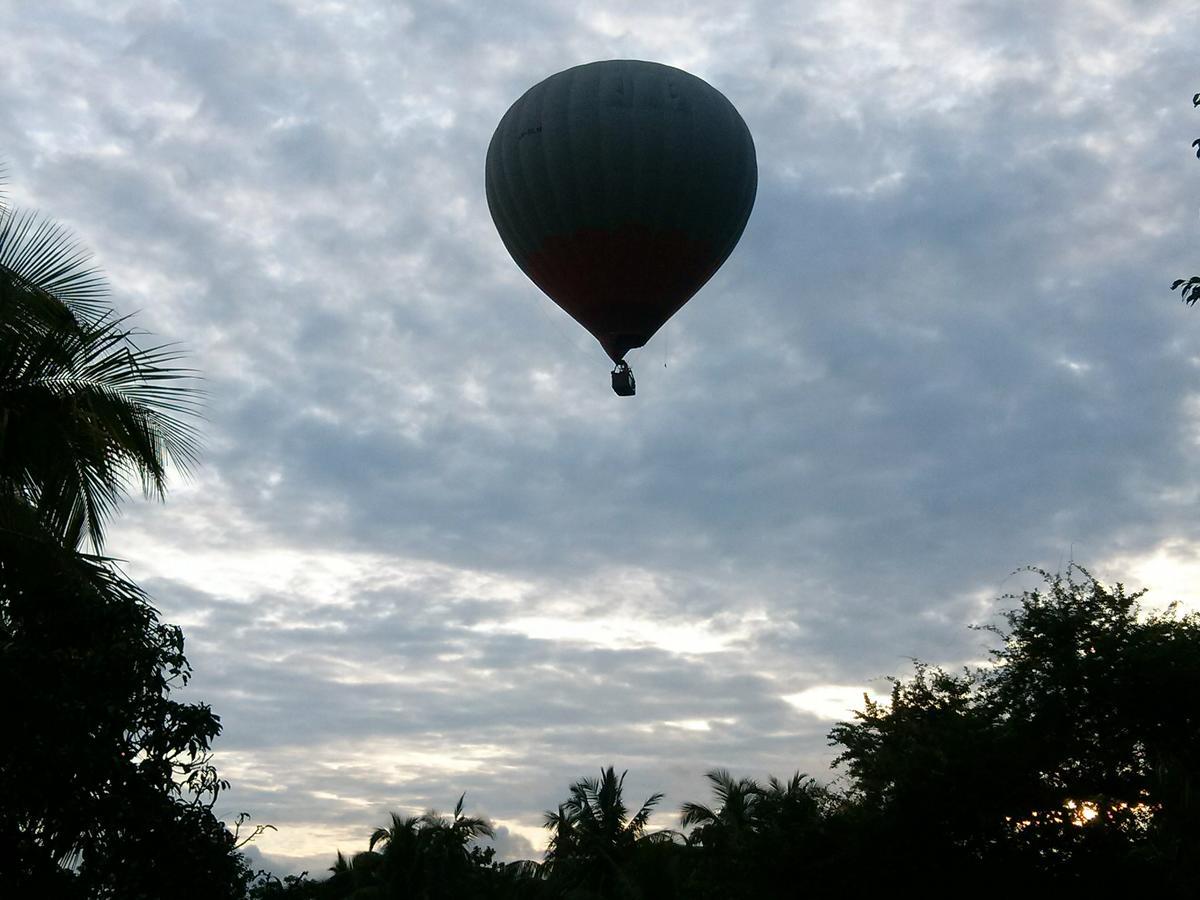 Green Earth Resort And Restaurant Dambulla Exteriör bild